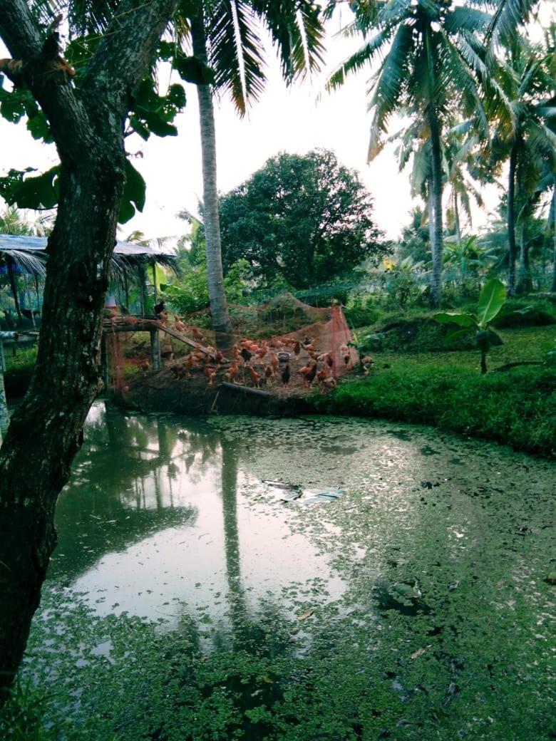 Thomman'S Farm Stay Kottayam Bagian luar foto