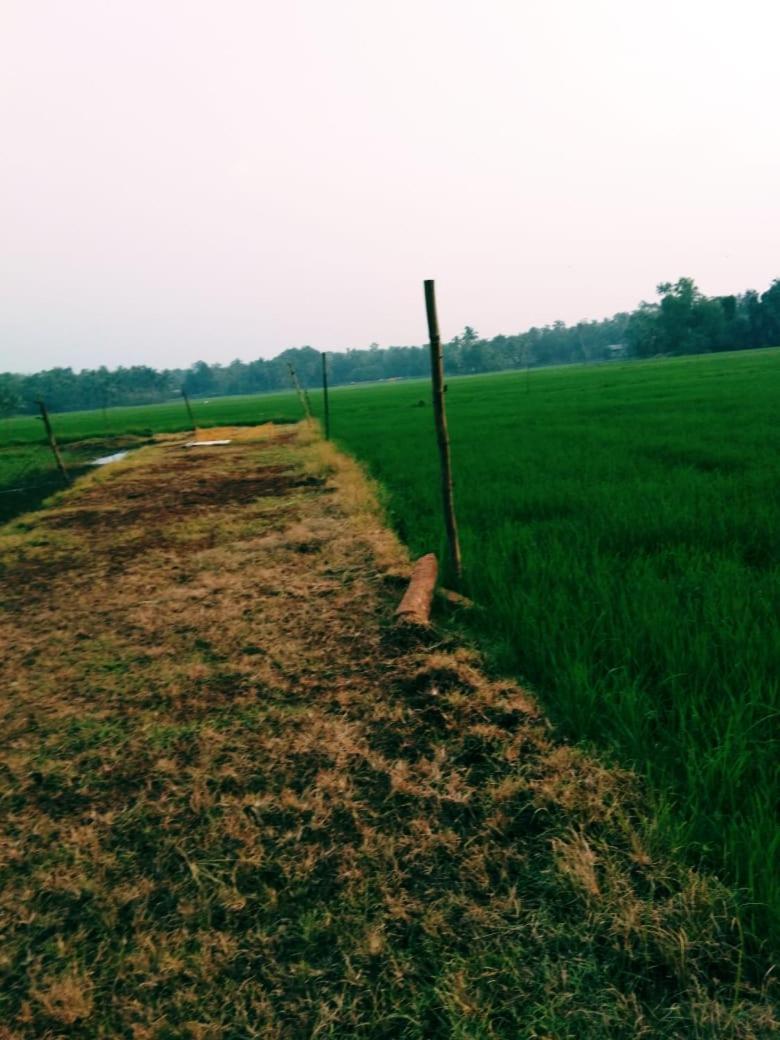 Thomman'S Farm Stay Kottayam Bagian luar foto