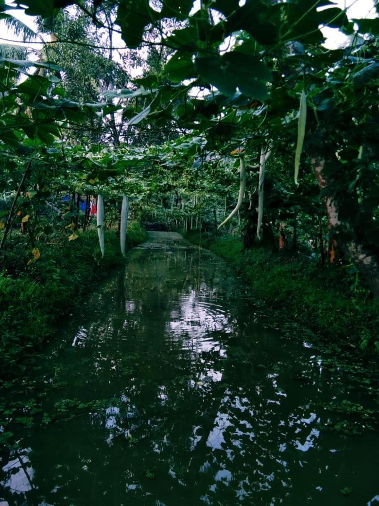 Thomman'S Farm Stay Kottayam Bagian luar foto
