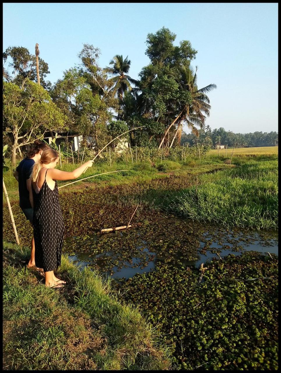 Thomman'S Farm Stay Kottayam Bagian luar foto