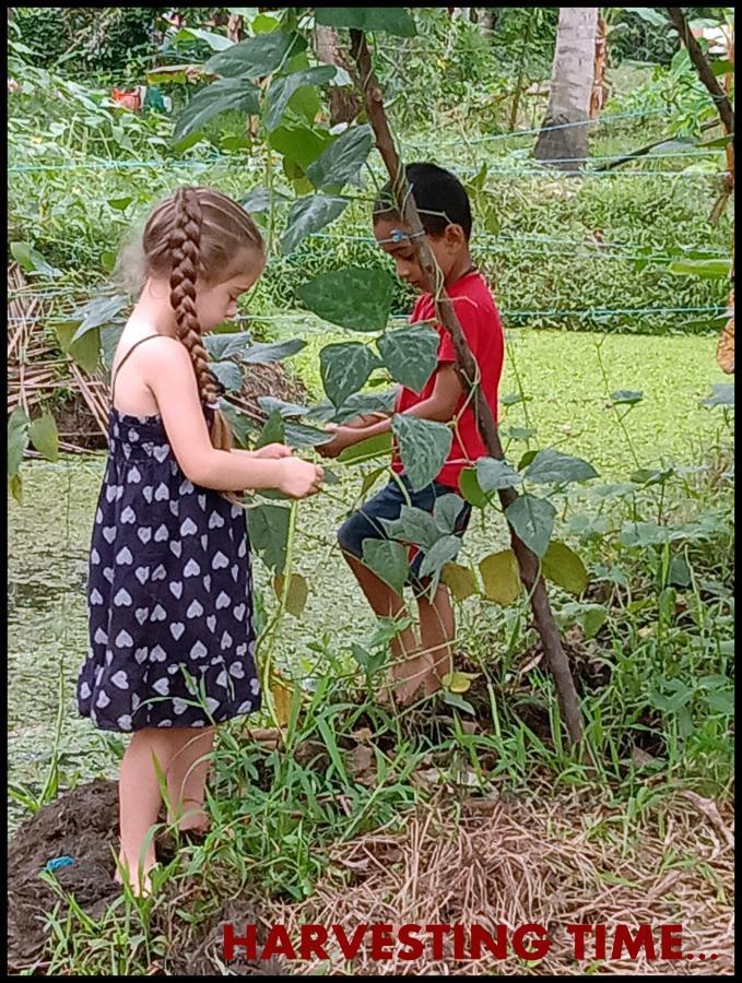 Thomman'S Farm Stay Kottayam Bagian luar foto